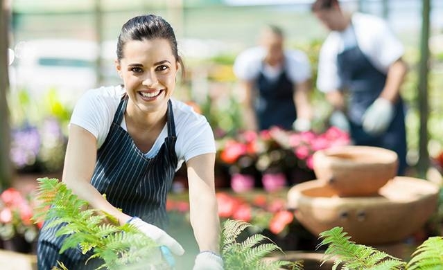 Garden-waste-bins-removal